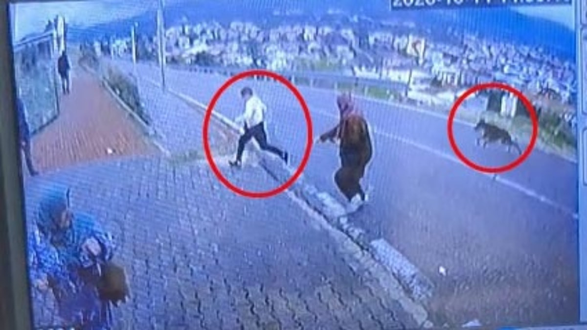 Bursa’da başıboş köpekten kaçan bir çocuk bacağını kırdı